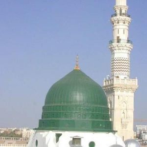 Meet your Posher, Sher